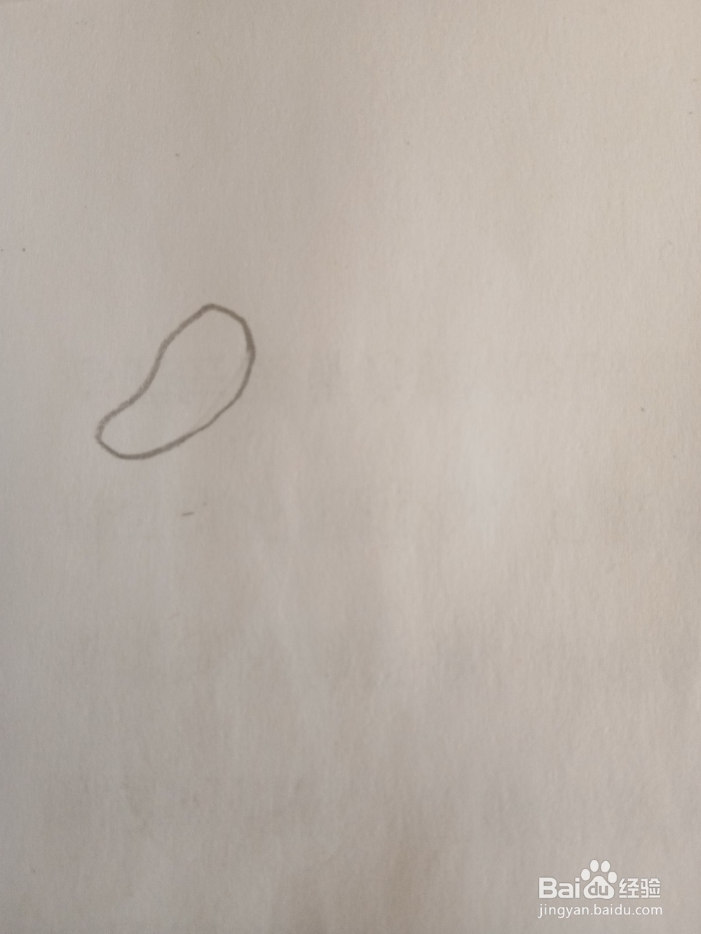 教你画简笔画胡萝卜