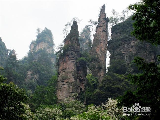 上海到张家界旅游攻略
