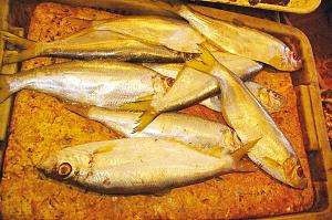 黄鲫子鱼的做法视频