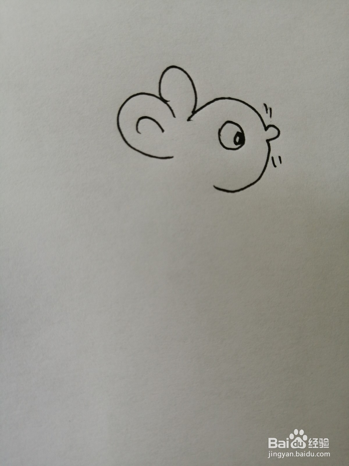 可爱的小老鼠怎么画