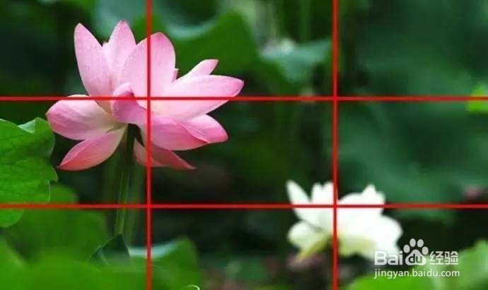 手机拍照之如何提高照片的格调?