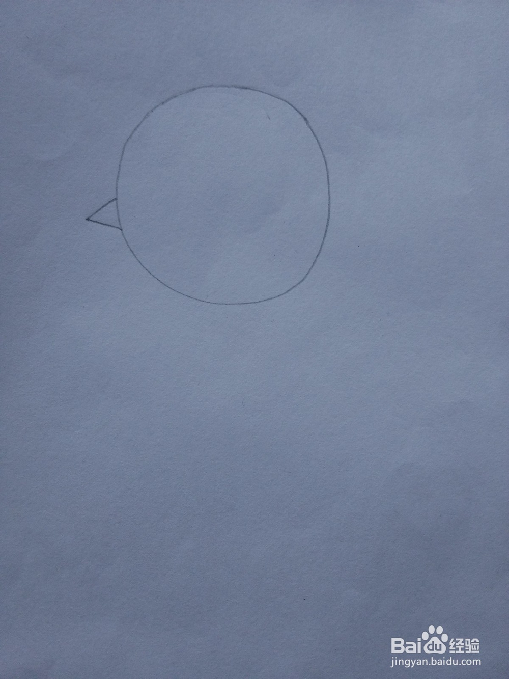 简笔画——怎么画小鸡