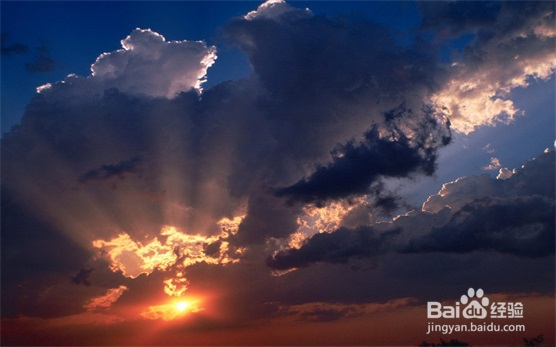 森林舞会游戏客户端怎么下载安装