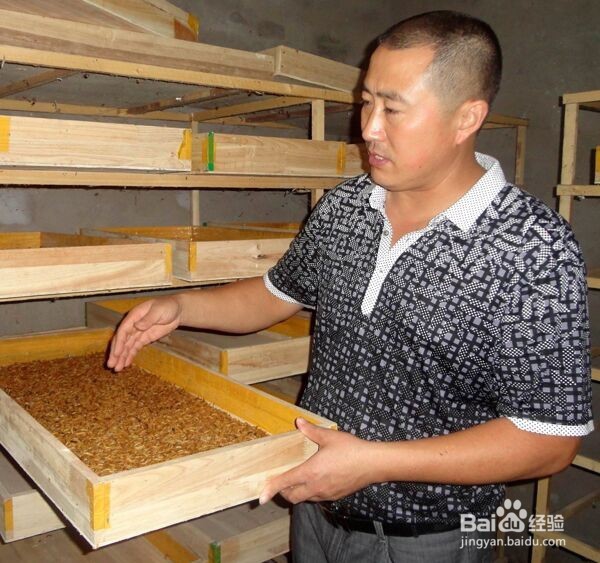 淮安土元怎样养殖