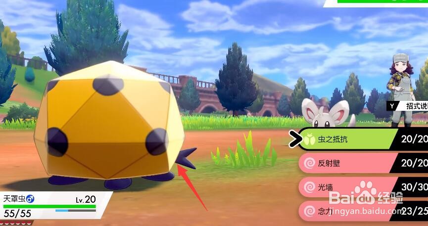 尼多王怎么进化