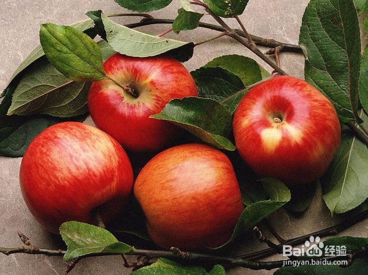 苹果有什么品种?具有什么食疗功效?