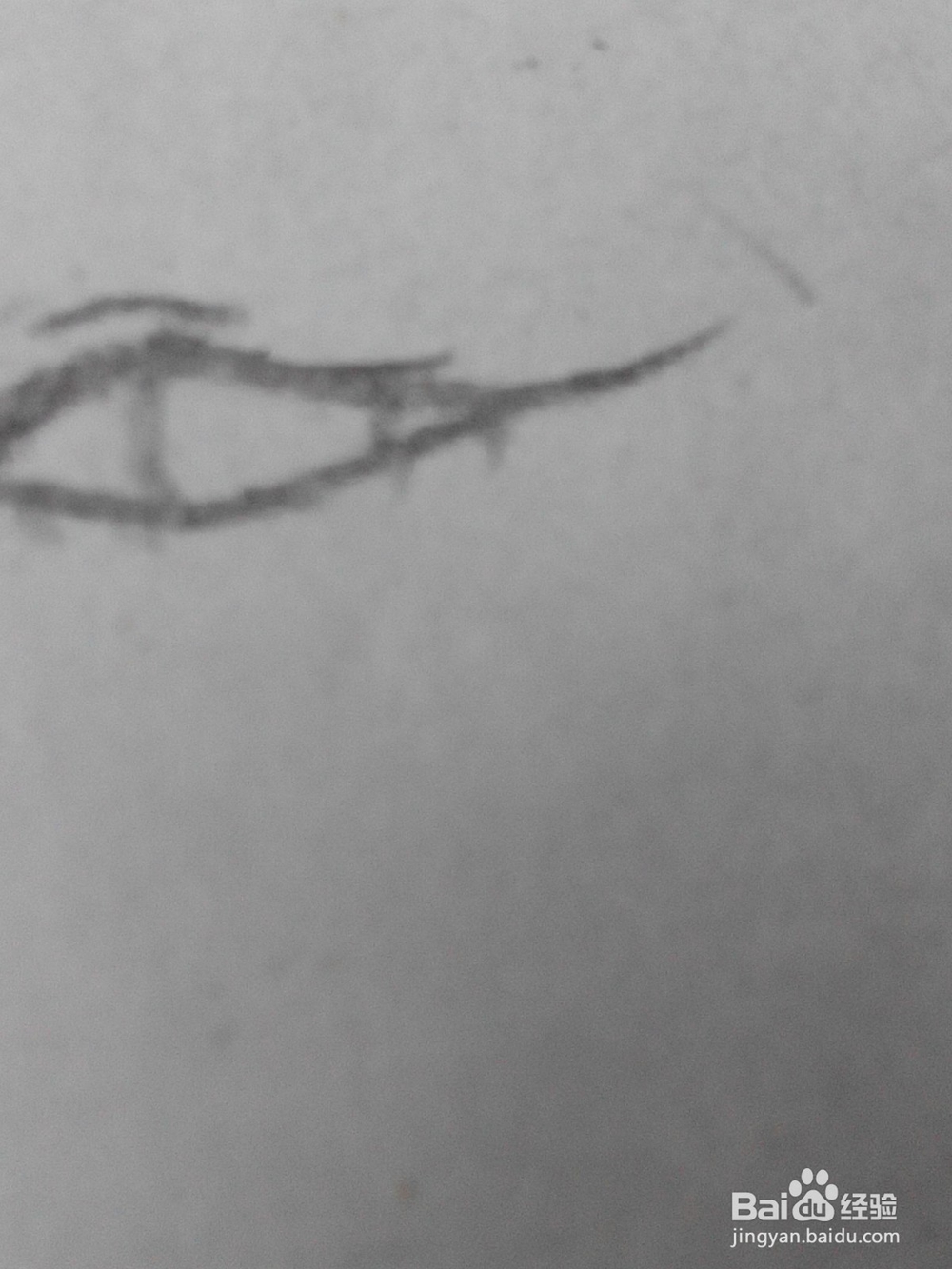 原创动漫人物的眼睛19