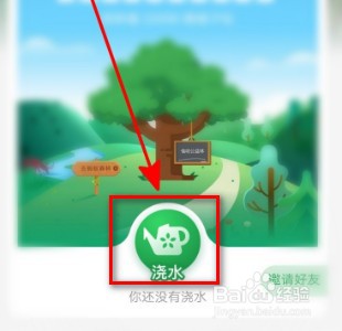 蚂蚁森林公益林怎么申请