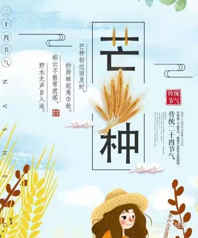 芒种做什么农活