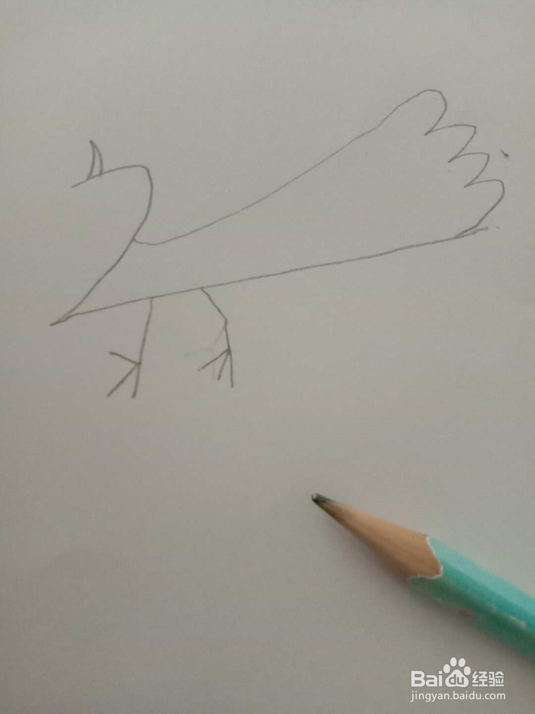 简笔画 如何画动物 孔雀