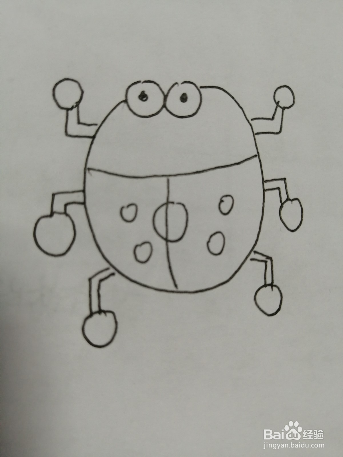 简笔画小瓢虫怎么画