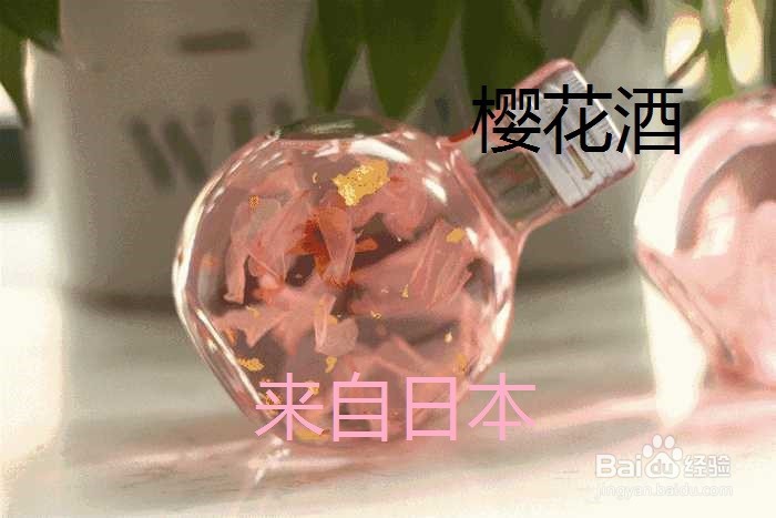 <b>女生适合喝什么样的酒</b>