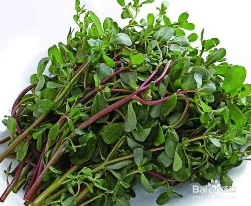 马齿苋素炒鸡蛋