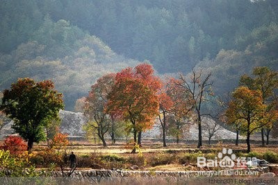 懂得放弃也是一种快乐