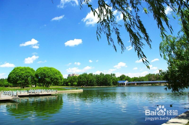 高考填志愿要考虑填报学校的哪些细节方面