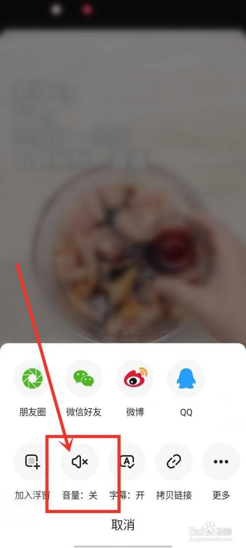 懒饭视频静音如何关闭