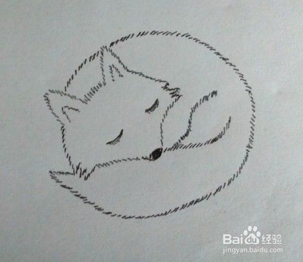 亲子简笔画 睡觉的狐狸画法 百度经验