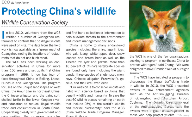 英语四级怎样拿高分