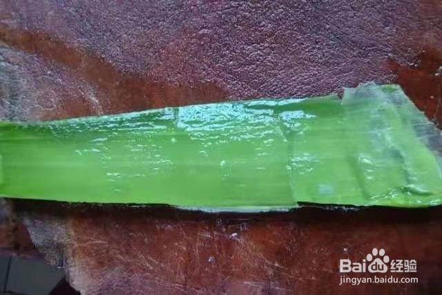 6种花家家必养，小病小痛用得上，药费都省了