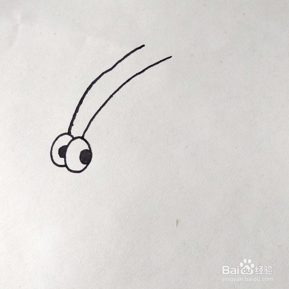 如何画一只有趣的蚱蜢/蝈蝈卡通简笔画