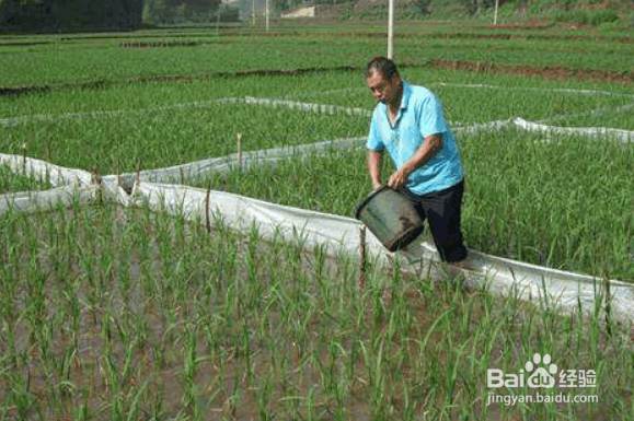 解决耕地土壤存在问题的措施