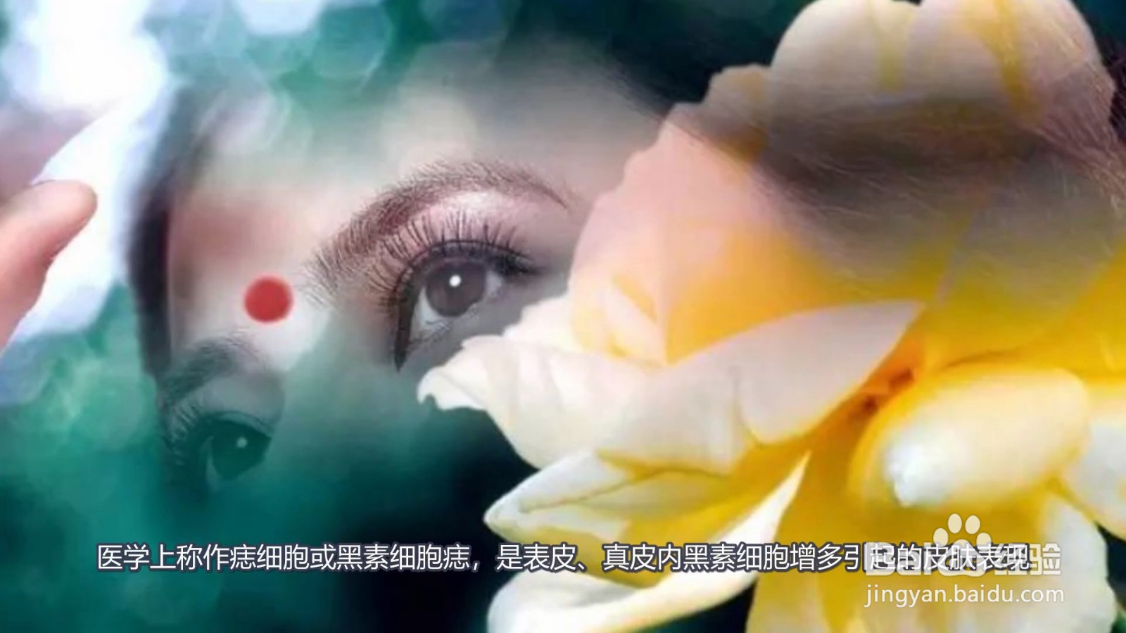 朱砂痣是什么意思