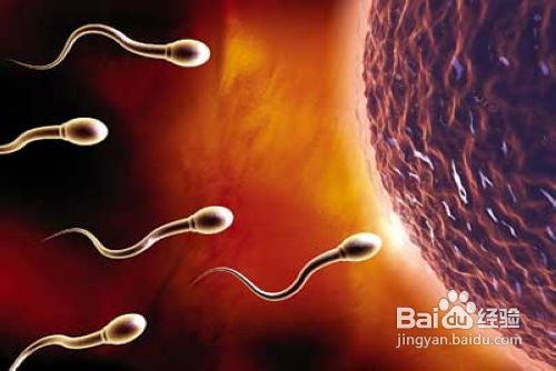 习惯性流产要如何检查