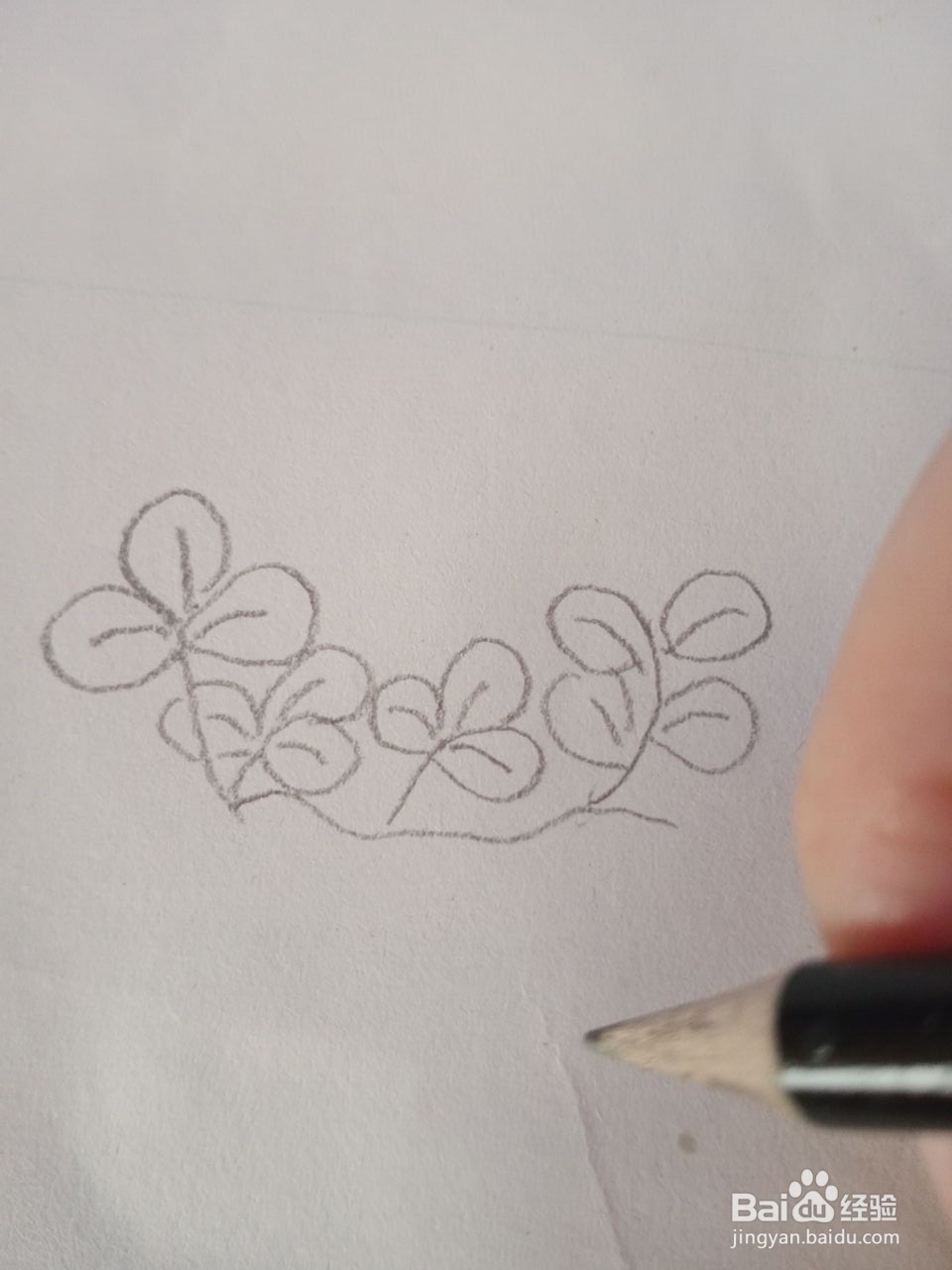 花生简笔画