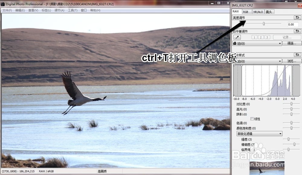 如何使用DPP软件处理cr2图片