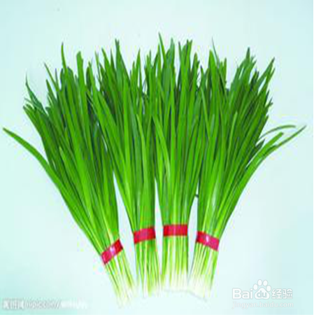 分享9种抵御胃寒的食物