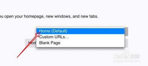 mac水狐浏览器怎么设置主页？