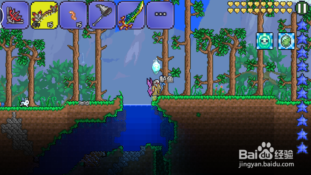 泰拉瑞亚钓鱼系统攻略