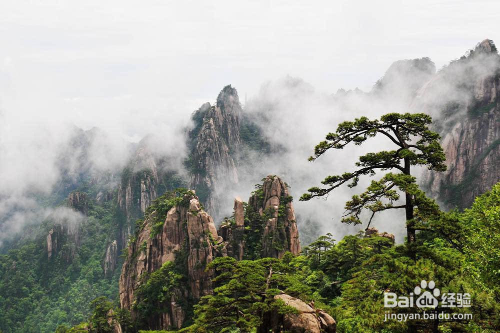 黄山出行旅游攻略