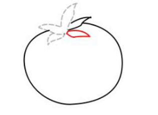 简笔画-如何画番茄