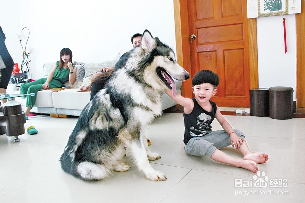 男孩女孩教育有不同,谈孩子教育男孩篇