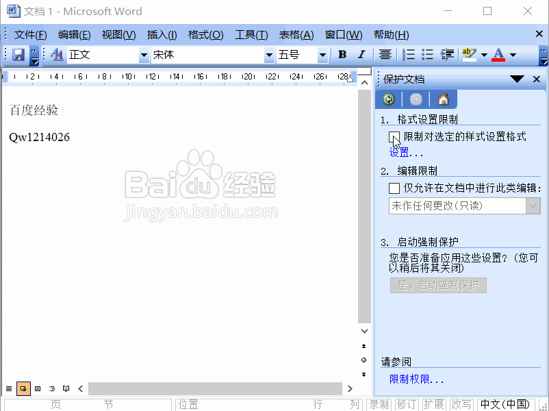 Word2003怎么限制文档的格式设置
