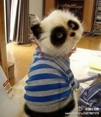 白天睡多了,晚上睡不着,怎么办?