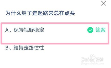 蚂蚁庄园:为什么鸽子走起路来总在点头
