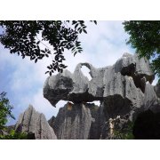 [转载]盘点新浪十大教育名博