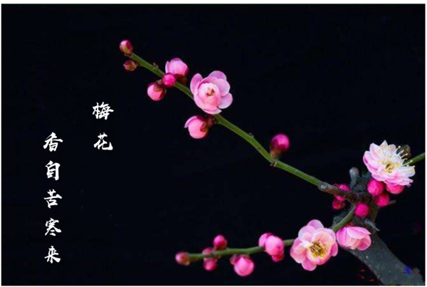 有没有像千淘万漉虽辛苦，吹尽狂沙始到金之类的语句