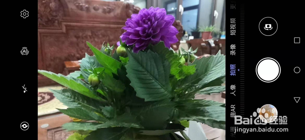 华为手机拍照技巧