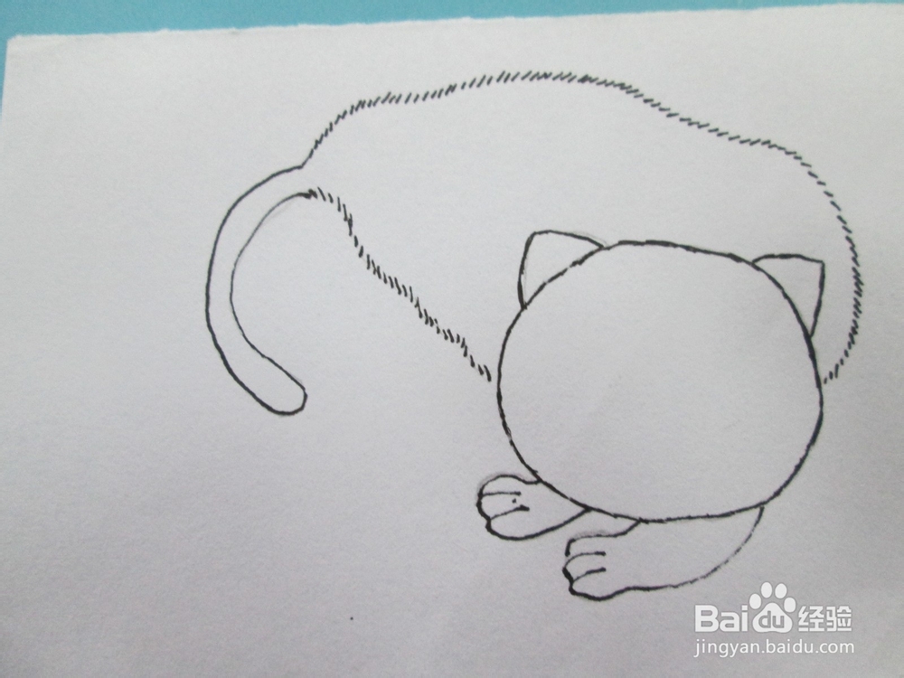 黑白线描画《猫咪》的作画步骤