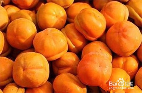 柿子有哪些营养？