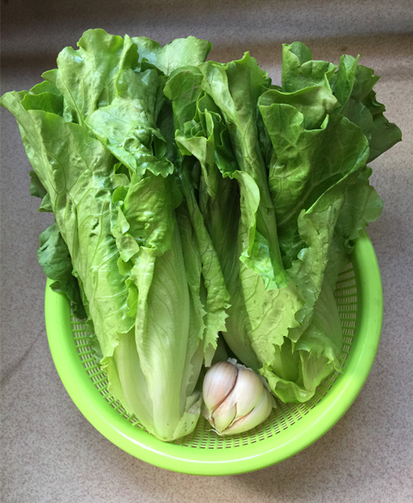 蒜蓉蚝汁生菜