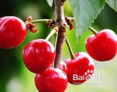 产妇吃什么能吃出好肌肤