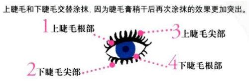 如何增长睫毛睫毛的基本化妆手法