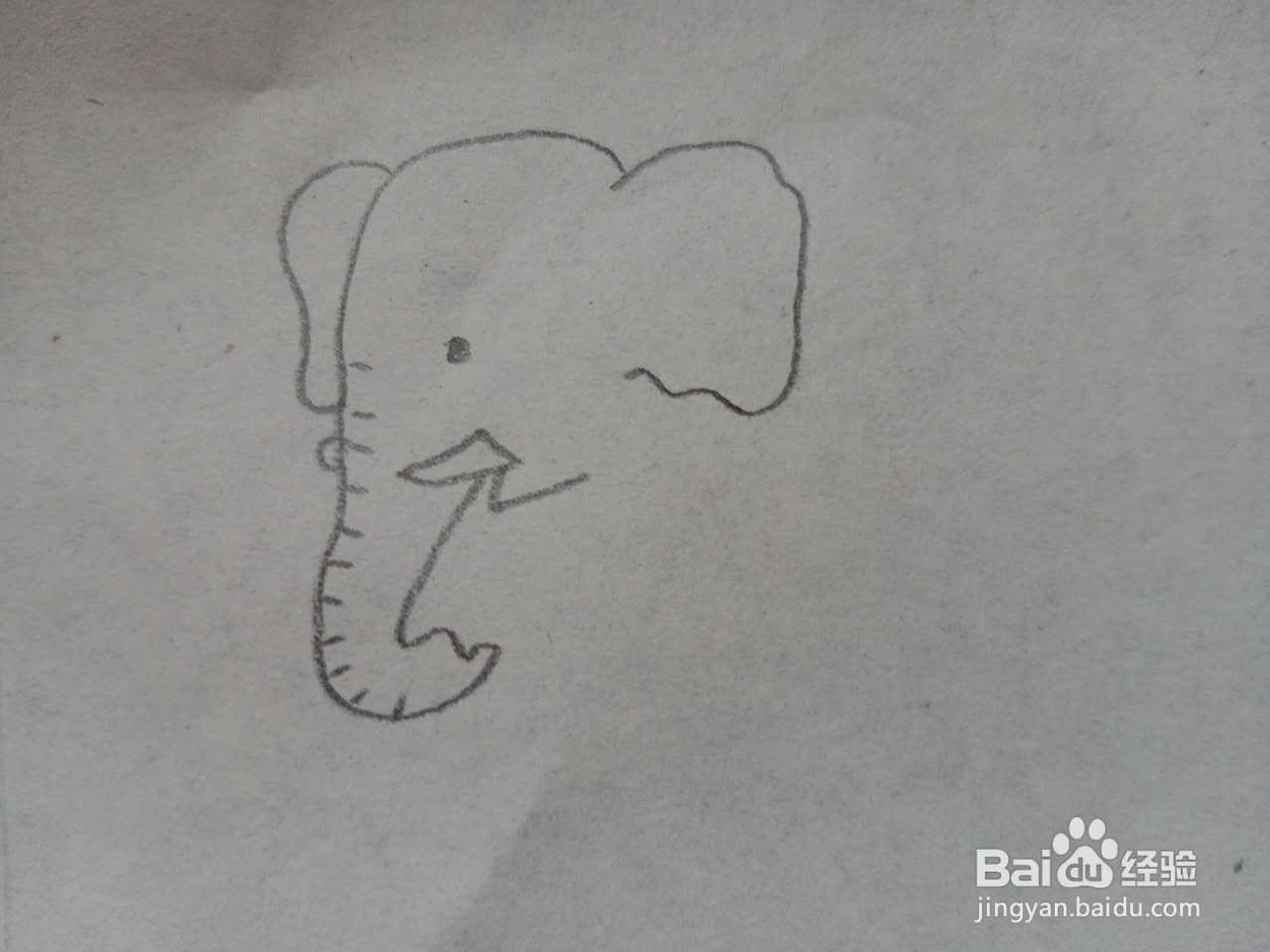 陆地动物简笔画
