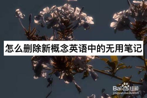 怎么删除新概念英语中的无用笔记 百度经验
