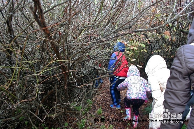 温哥华小学生郊游学什么