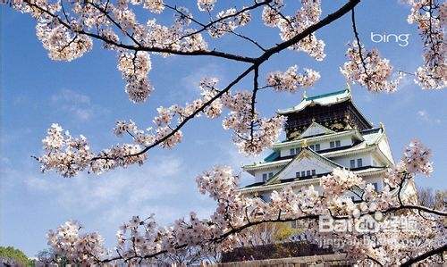 留学日本如何更好地选择日本高校？